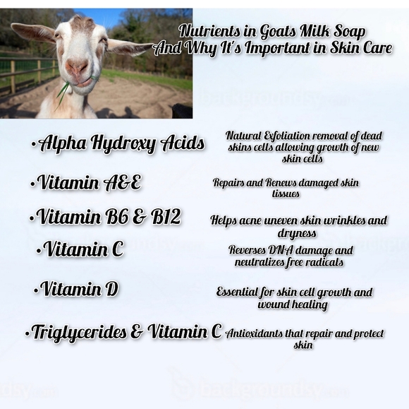 Hand Crafted SWEET ORANGE CHILI PEPPER GOATS MILK SOAP Handmade Natural Soap - Picture 4 of 10